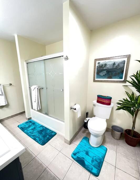 Serenity Large 1-bedroom Guest Apt. Appartement